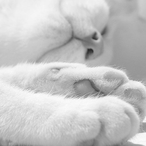 Ольга Ханина