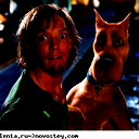 Антон Гордеев