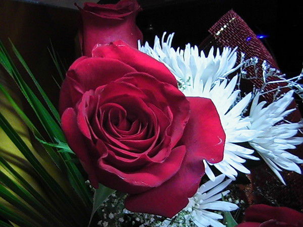 Наташа Яскина