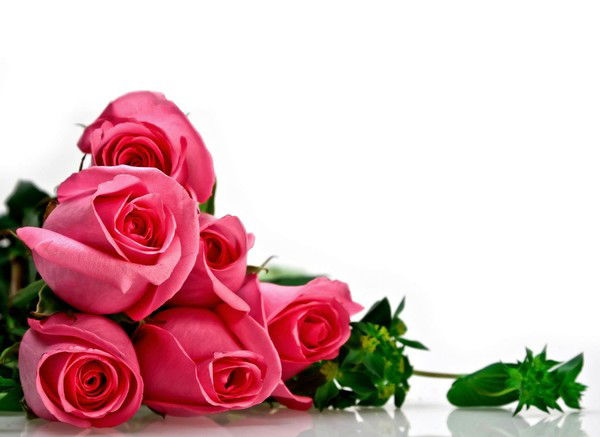 Роза Кашуова