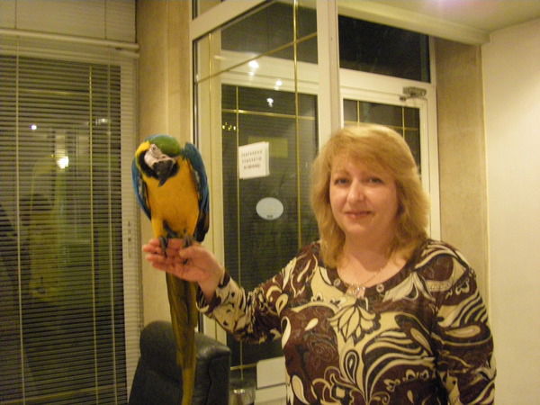 Елена Николова