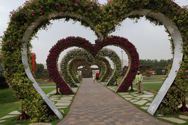 Елена Романенко