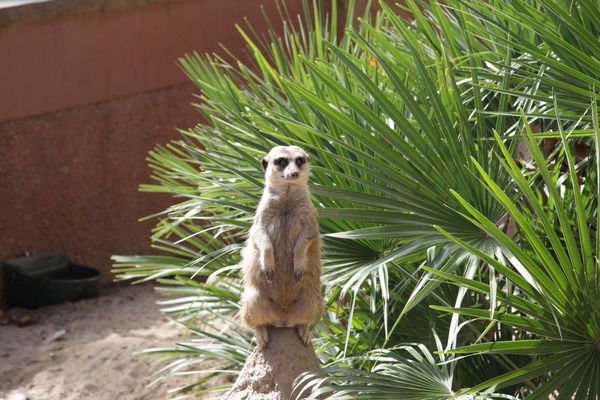 Екатерина Валеева