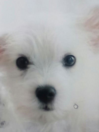 Настя Половкова