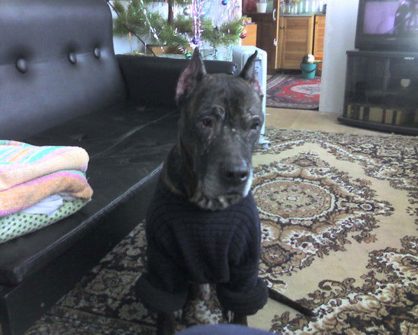 Aleksandr Marzagulov