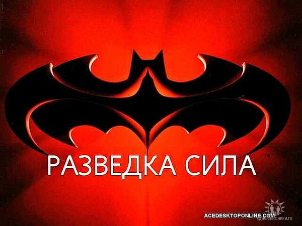 Дмитрий Вахранев