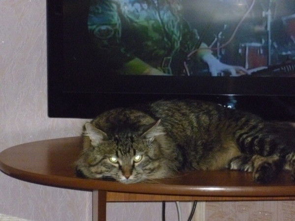 Анна Она Моя