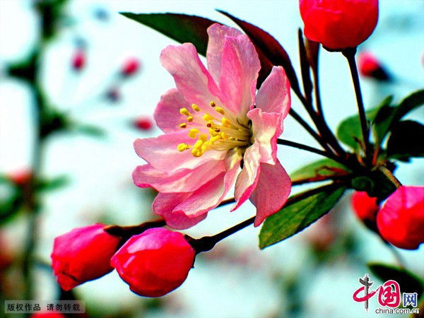 Светлана Ким