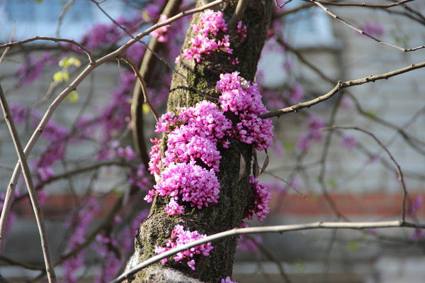 Евгения Косиковская