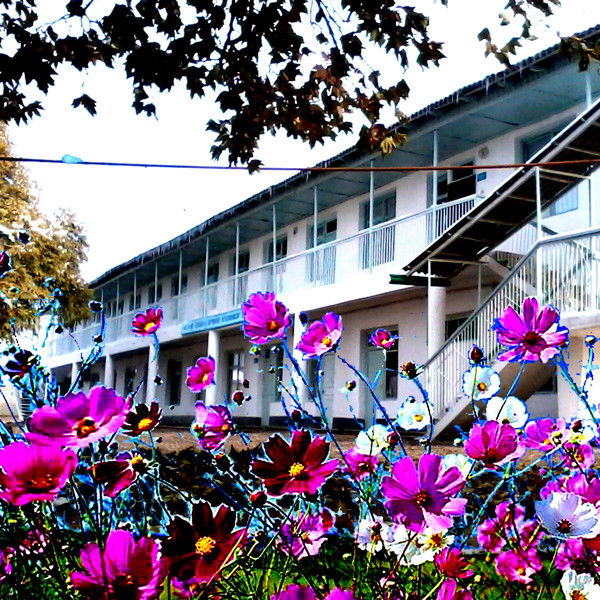 Окж Мактарал