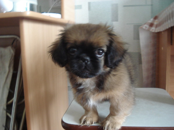 Лилия Ишмитова