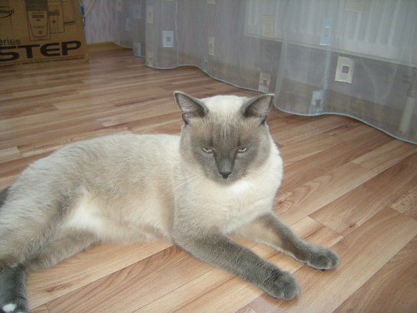 Сергей Безфамильный