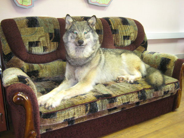 Алена Алексеева