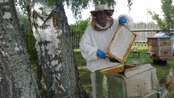 Геннадий Клековкин