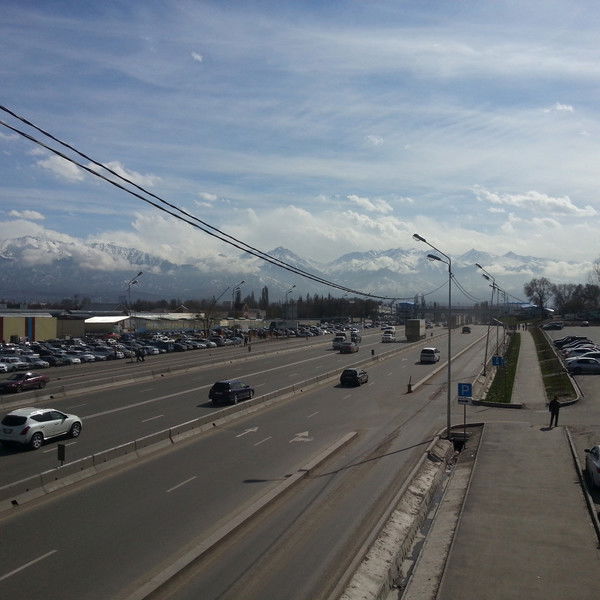 Сергей Новосельцев