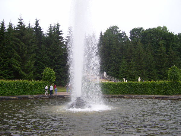 Николай Шестаков