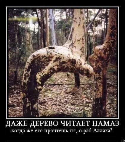 ***спорт- Махаббат***