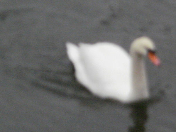 Людмила Ульман