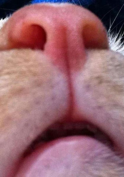 Ми-Ми-Ми Ми-Ми