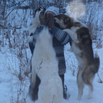 Олеся Ворончихина