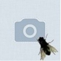 Вадим Идиятуллин