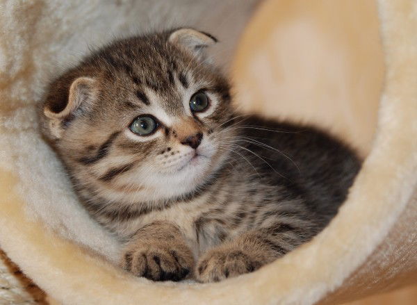 Светлана &&&&&&