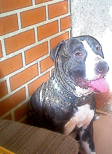 Вячеслав Михеев