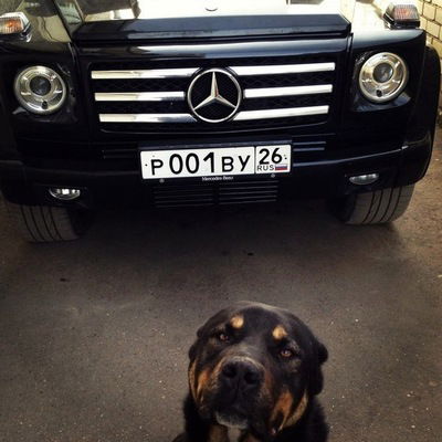 Даниил Коваленко