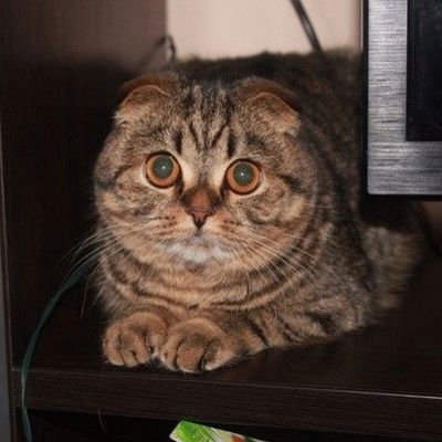 Екатерина Жидовленкова