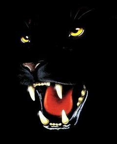 Сергей Василенко