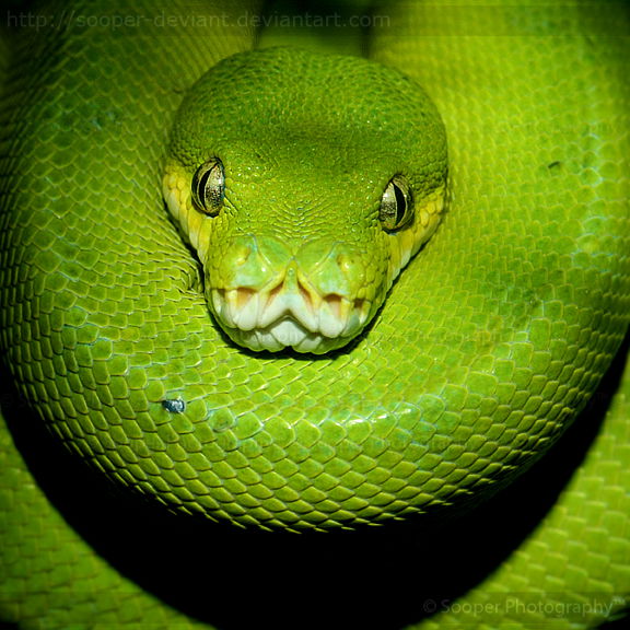 Наталья Суломяго