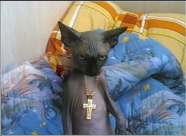 Саня Забавин