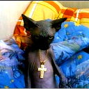 Саня Забавин