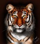 Сергей Курышев