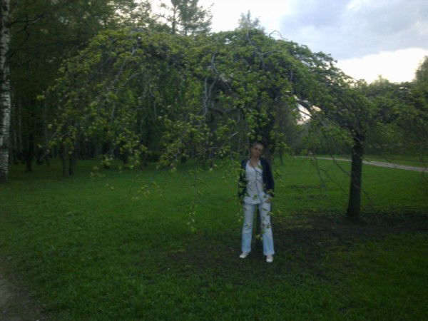 Лариса Томилина