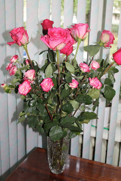 Людмила Кириллова