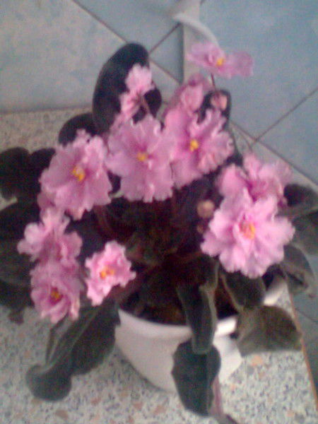 Татьяна Бойко