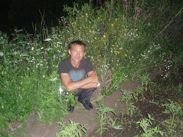 Вячеслав Гращев