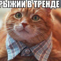 Яна Сукманова