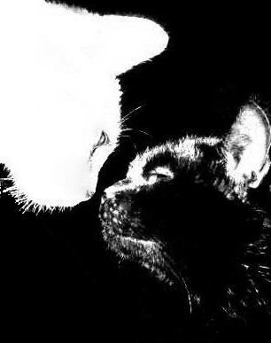 Человек Дождя