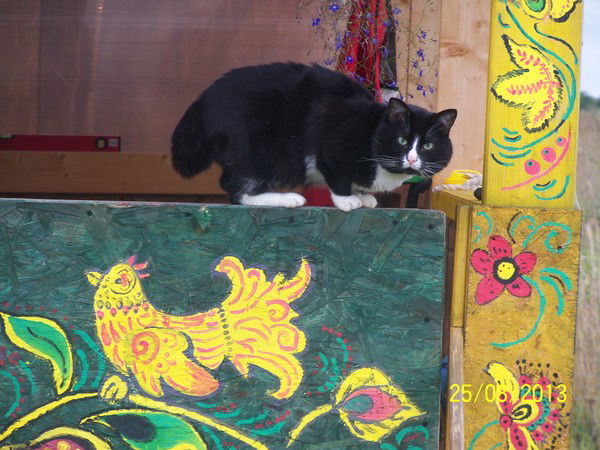 Марина Анохина