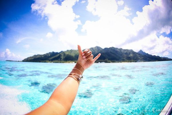 Света Комиссарова