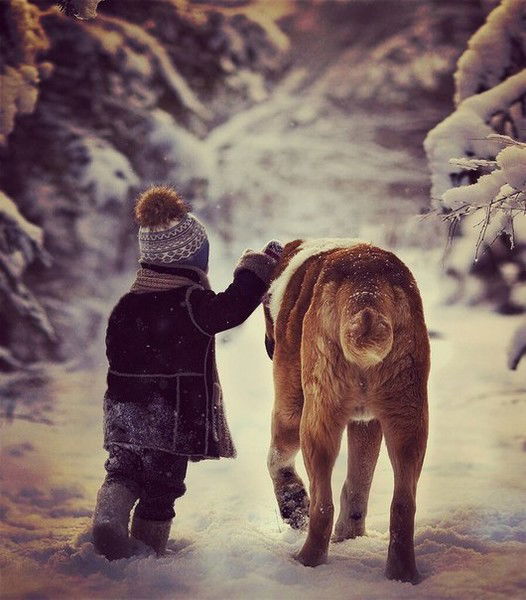 Айдос Жакатов