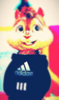 Чеишвили Ираклий