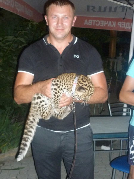 Владимир Быхкало