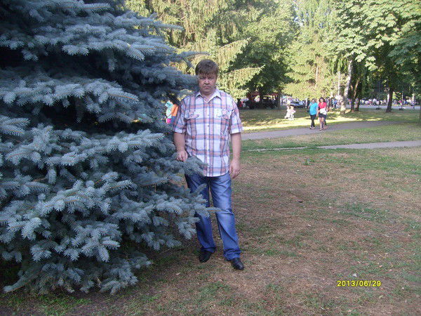 Сергей Стегний