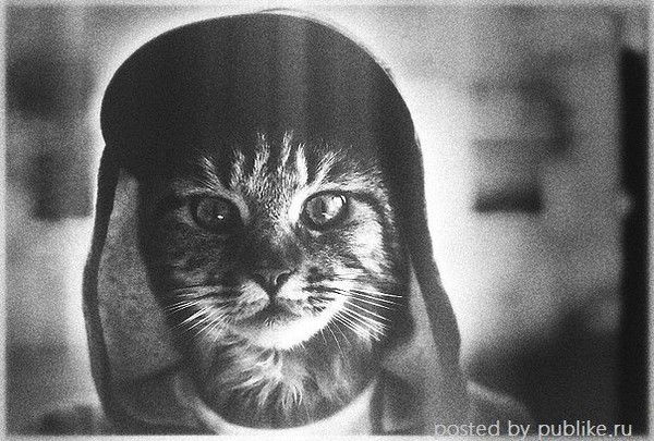 Руслан Рахимжанов