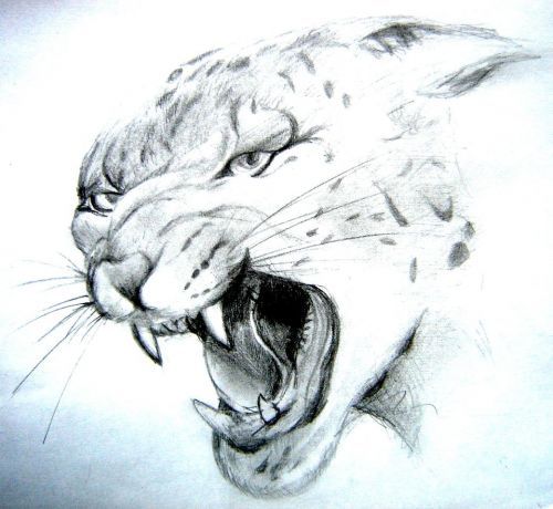 Алена Потапова