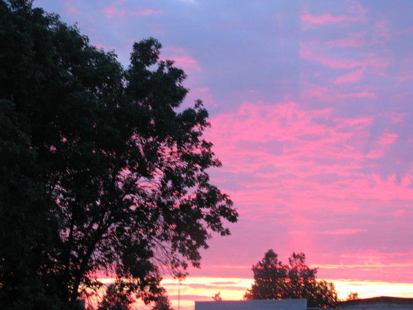 Анна Конюшко-Левченко