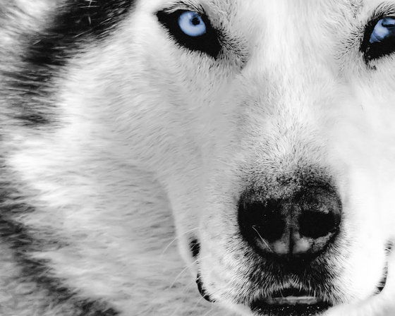 Жасулан Нургалиев